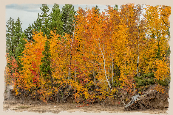 Colorado, mountain, lake, RMNP, "Rocky Mountain National Park", "Lake Granby", Grand Lake", "Trail Ridge Road", fall, aspen, trees, rugged, moose, "national park", Rockies, "Rocky Mountains", "Estes P