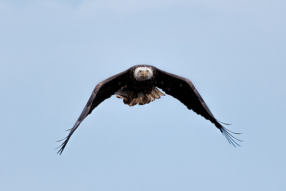 20131019 [C] Conowingo MD Dam 066-Edit