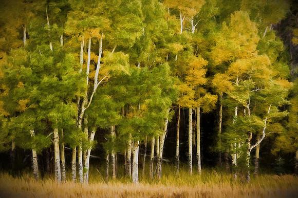 Colorado, "Estes Park", Grand, Lake, "Lake Granby", RMNP, Rockies, "Rocky Mountain National Park", "Rocky Mountains", "Trail Ridge Road", aspen, fall, "fall color", lake, mountain, "national park", ru