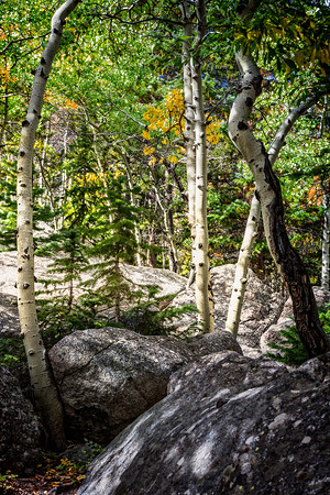 Colorado, "Rocky Mountain National Park", "Bear Lake", Alberta Falls", waterfall, RMNP, water, "Estes Park" fall, autumn, aspen"long exposure"