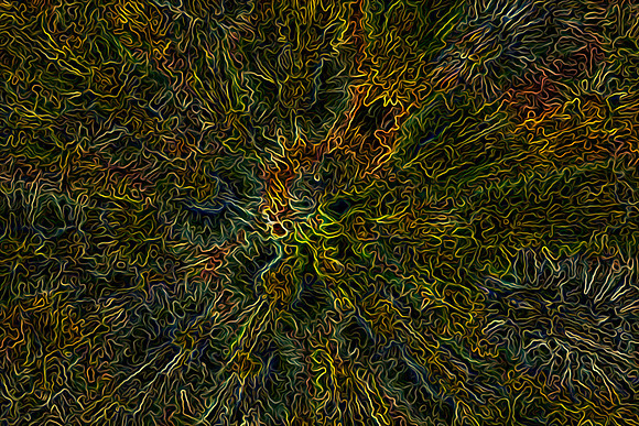 20131005 [C] Ellicott City MD - WWPhotowalk 034-Edit v'StringTheory'[OilPaint]