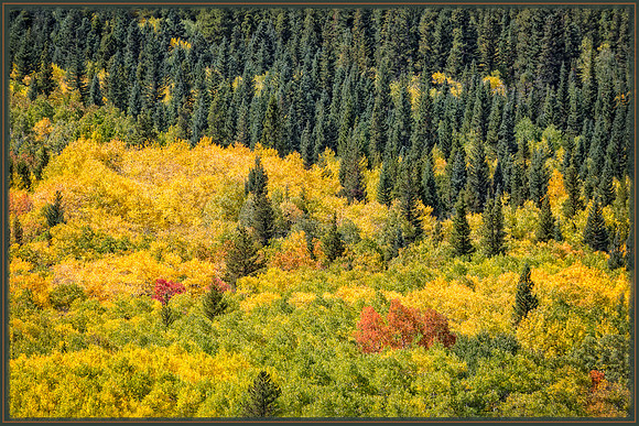 Colorado, fall, mountains, "Longs Peak", "Highway 7", aspen, "peak to peak", "peak-to-peak", "peak-to-peak highway", scenic