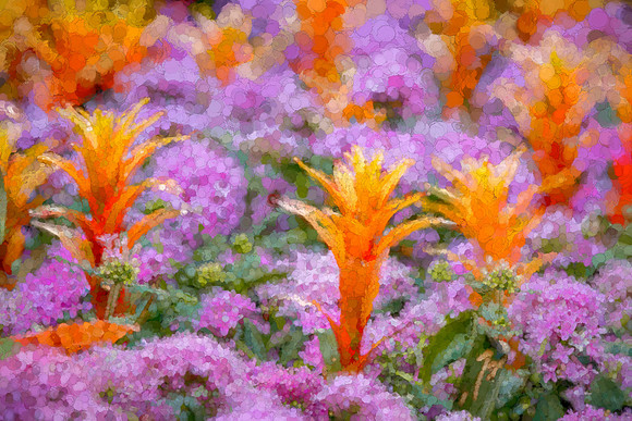 "Longwood Gardens", Longwood, gardens, flowers, artistic, impressions, floral, painterly, Moet, waterlily, plants