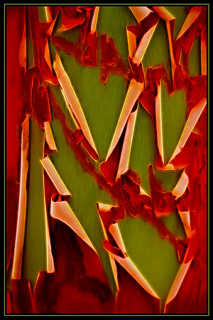 20130823 [C] PNW Vacation - ONP-Lake Crescent 043-Edit [TG(BrilonBlkI)]-Edit