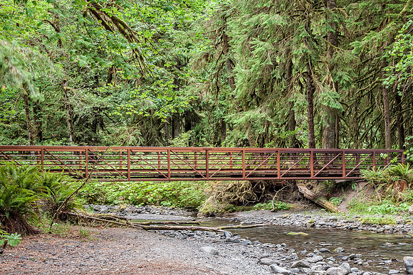 20130824 [C] PNW Vacation - ONP-Marymere Falls 060-Edit