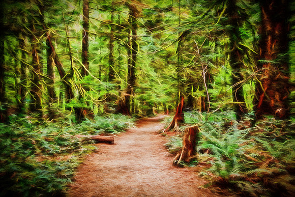 20130824 [C] PNW Vacation - ONP-Marymere Falls 002-Edit [TG(ElecgrifyI-OL)]-Edit [TopImp(TStormsII)]