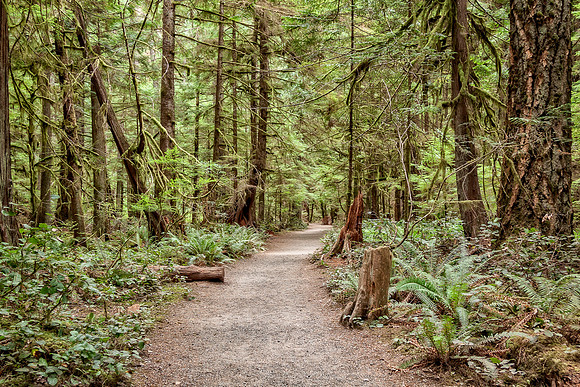 20130824 [C] PNW Vacation - ONP-Marymere Falls 002-Edit