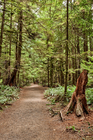20130824 [C] PNW Vacation - ONP-Marymere Falls 004-Edit
