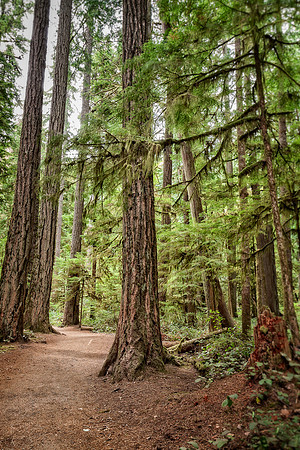 20130824 [C] PNW Vacation - ONP-Marymere Falls 008-Edit