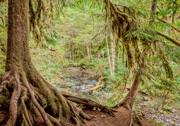 20130824 [C] PNW Vacation - ONP-Marymere Falls 012-Edit