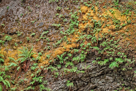 20130824 [C] PNW Vacation - ONP-Marymere Falls 032-Edit