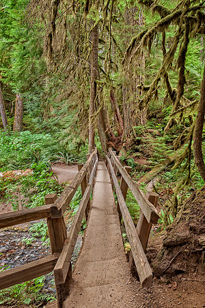 20130824 [C] PNW Vacation - ONP-Marymere Falls 034-Edit