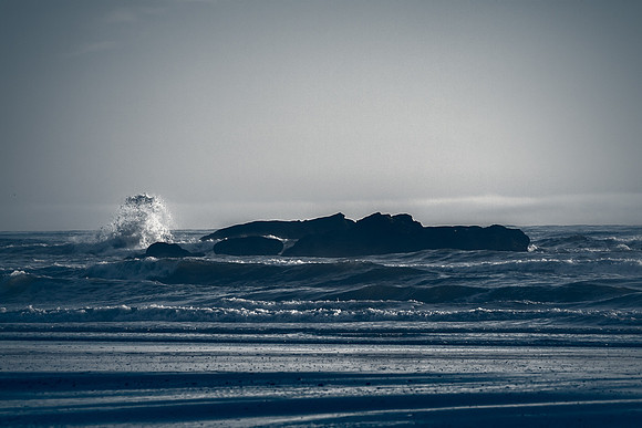 20130824 [C] PNW Vacation - ONP-Kalaloch Beach 024-Edit