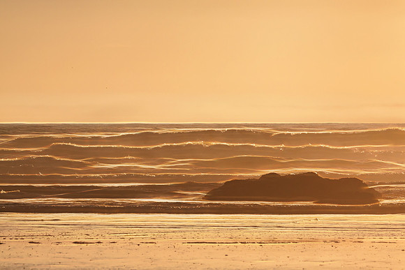 20130824 [C] PNW Vacation - ONP-Kalaloch Beach 025-Edit [TG(NatNeonI64SL)]