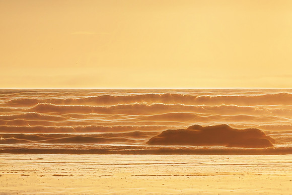 20130824 [C] PNW Vacation - ONP-Kalaloch Beach 025-Edit [TG(NatNeonIII56SL)]