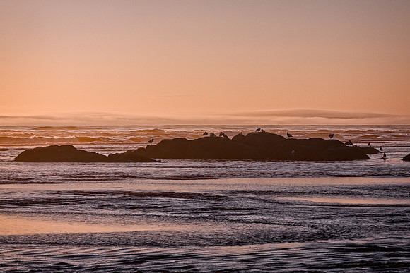 20130824 [C] PNW Vacation - ONP-Kalaloch Beach 086-Edit