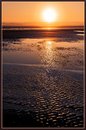 20130824 [C] PNW Vacation - ONP-Kalaloch Beach 093