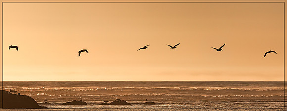 20130824 [C] PNW Vacation - ONP-Kalaloch Beach [006+010]-Edit v1a