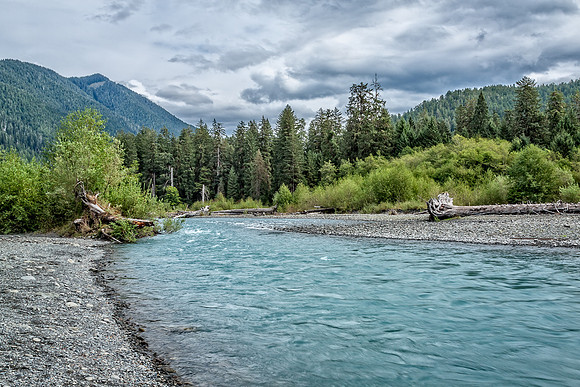 20130827 [C] PNW Vacation - ONP-Hoh Rainforest-Spruce Trail 069-Edit