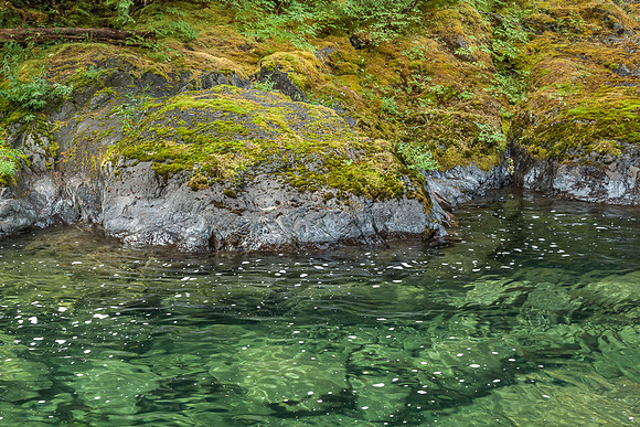 20130828 [C] PNW Vacation - ONP-Sol Duc Falls area 002