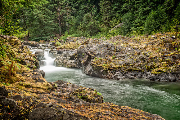 20130828 [C] PNW Vacation - ONP-Sol Duc Falls area 007-Edit