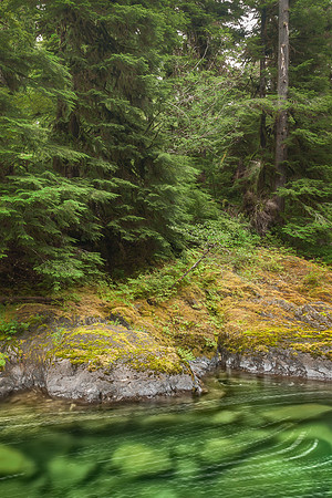 20130828 [C] PNW Vacation - ONP-Sol Duc Falls area 011-Edit