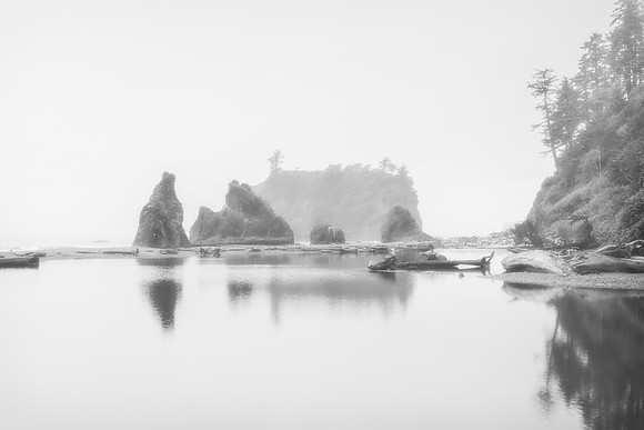 20130828 [C] PNW Vacation - ONP-Ruby Beach 004-Edit v7