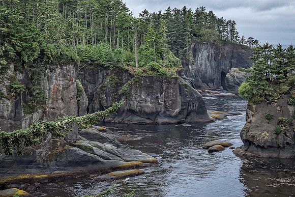 20130829 [C] PNW Vacation - Makah Res-Cape Flattery TrailHDR (013-015)]-Edit