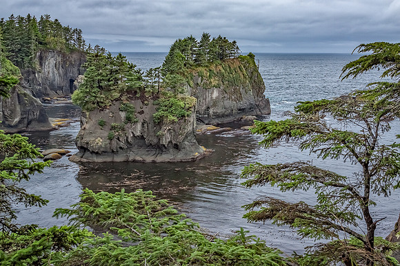20130829 [C] PNW Vacation - Makah Res-Cape Flattery Trail 022-HDR-Edit