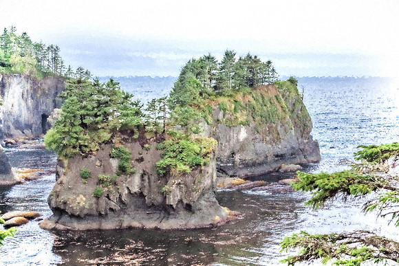 20130829 [C] PNW Vacation - Makah Res-Cape Flattery Trail [HDR (023-027)]-Edit v1-Edit [TopImp(SeurAfterIV)]