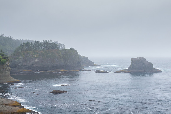 20130829 [C] PNW Vacation - Makah Res-Cape Flattery Trail 040