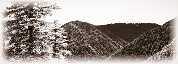 20130822 [C] PNW Vacation - ONP-Hurricane Ridge [PANO-Cyl (012-020)]-Edit [TopClar(MyPreset)]-Edit-2