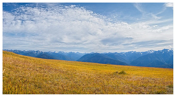 20130822 [C] PNW Vacation - ONP-Hurricane Ridge [PANO-Cyl (081-088)]-Edit