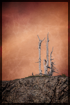 20130822 [C] PNW Vacation - ONP-Hurricane Ridge 034-Edit v2