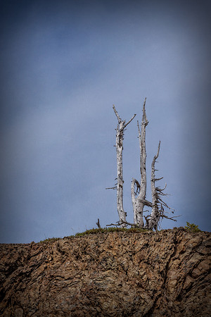 20130822 [C] PNW Vacation - ONP-Hurricane Ridge 034-Edit v3