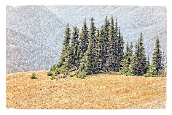 20130822 [C] PNW Vacation - ONP-Hurricane Ridge 062-Edit v2