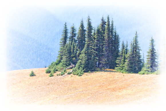 20130822 [C] PNW Vacation - ONP-Hurricane Ridge 062-Edit v3[TopImp(WaterII)]
