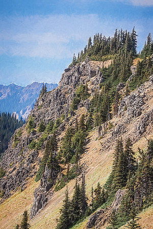 20130822 [C] PNW Vacation - ONP-Hurricane Ridge 065-Edit [TopImp(Rudis)]