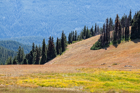20130822 [C] PNW Vacation - ONP-Hurricane Ridge 068-Edit