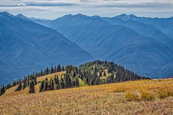 20130822 [C] PNW Vacation - ONP-Hurricane Ridge 075-Edit