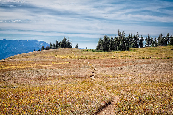 20130822 [C] PNW Vacation - ONP-Hurricane Ridge 077-Edit