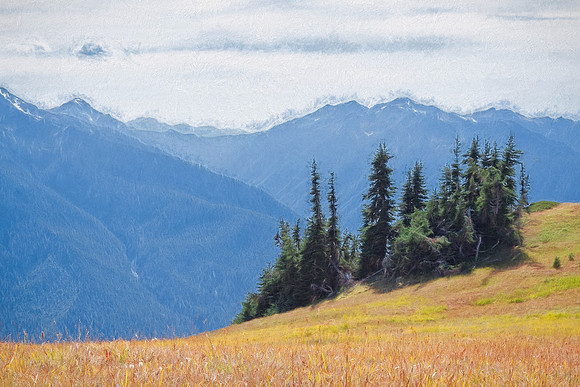 20130822 [C] PNW Vacation - ONP-Hurricane Ridge 080-Edit [TopImp(TStormsIadj65)]