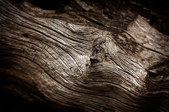 20130822 [C] PNW Vacation - ONP-Hurricane Ridge 185-Edit v1