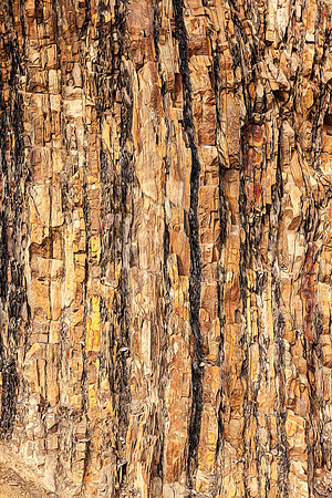 20130822 [C] PNW Vacation - ONP-Hurricane Ridge 232-Edit [TG(F&F I SL)]