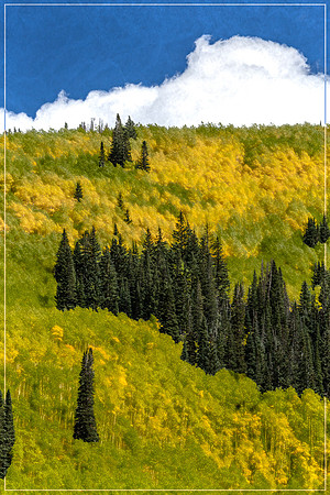 Colorado, Aspen, "West Elk Mountains", mountains, fall, "fall color", trees, stream