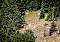 Colorado, "Rocky Mountain National Park", "Estes Park", rockies, landscape, patterns