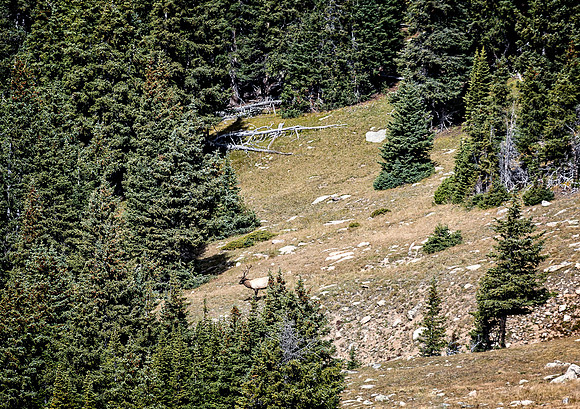Colorado, "Rocky Mountain National Park", "Estes Park", rockies, landscape, patterns