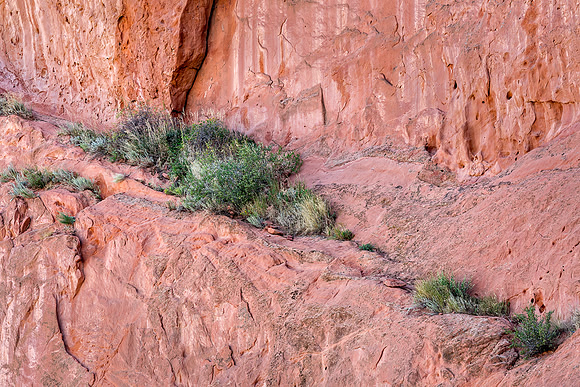 "Garden of the Gods", "Colorado Springs", Colorado, rocks, landscape, west
