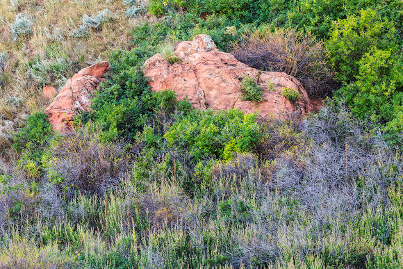 "Garden of the Gods", "Colorado Springs", Colorado, rocks, landscape, west