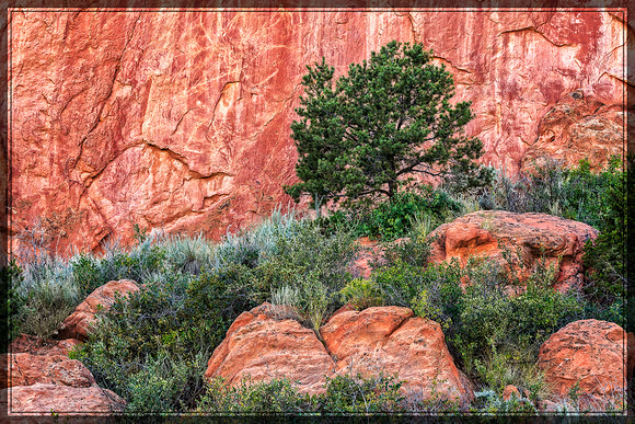 "Garden of the Gods", "Colorado Springs", Colorado, rocks, landscape, west